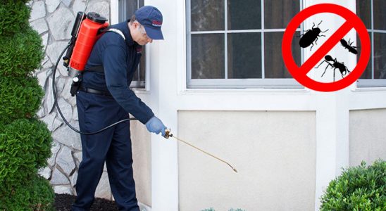 Bulanık Bit İlaçlama böcek ilaçlama ve haşere kontrolü — ilaclama-tr.com